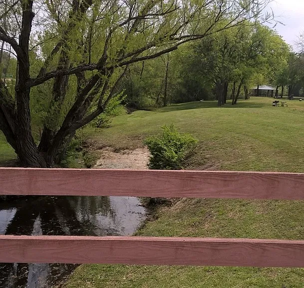 2312 Blue Cypress Dr — Photo 53