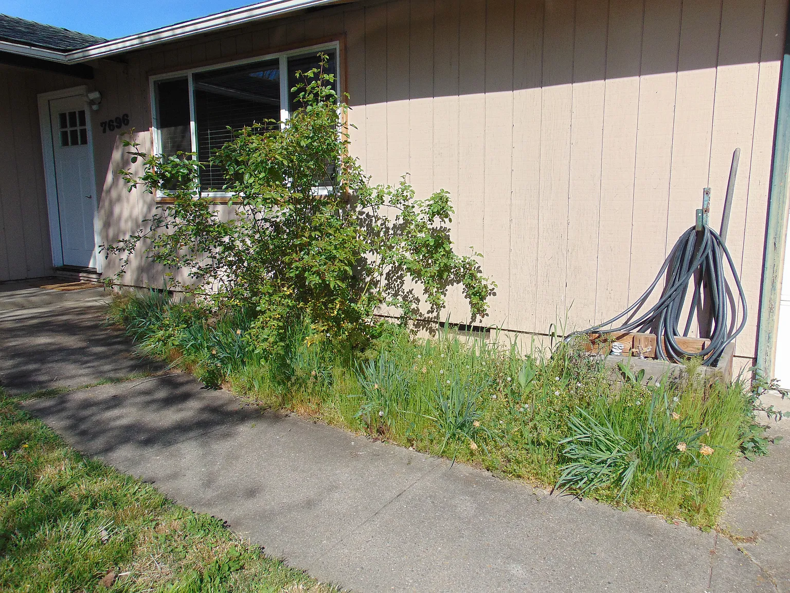 3 bed, 1610 sqft, $1,750 — Photo 2