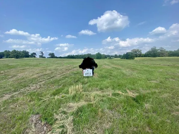 5 Private Rd, Big Sandy, TX 75755