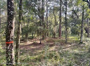 0 Pinon Dr, Webster, FL 33597