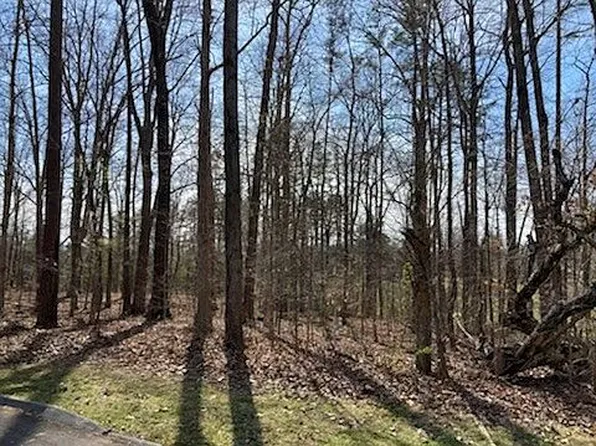 Irvine Ln, Sevierville, TN 37876