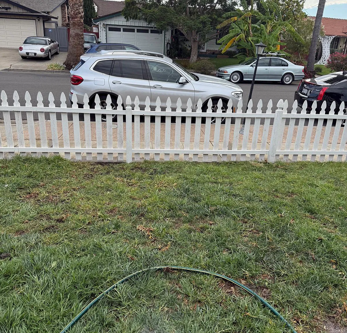 3 bed, 1359 sqft, $3,900 — Photo 2