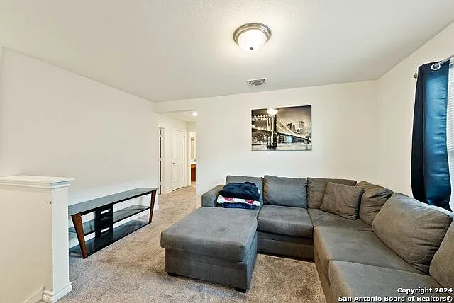 6830 Beltran Pass — Photo 10