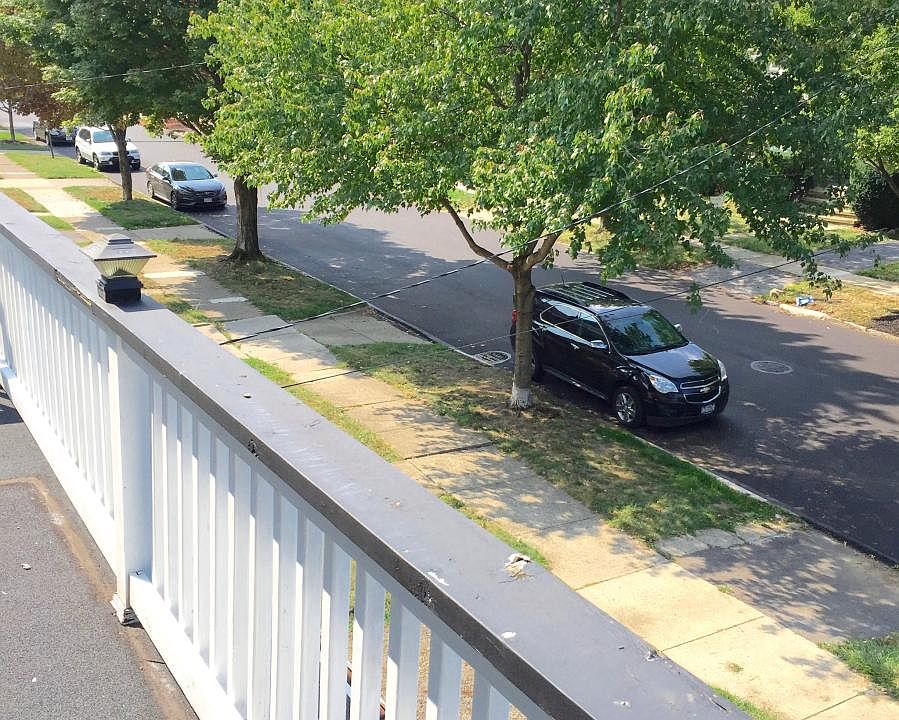 View from Porch
