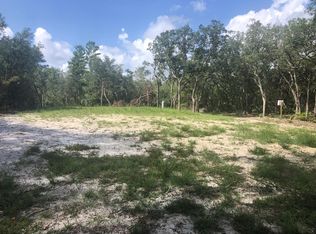 LOT 15 Riverview Rd LOT 15, Trenton, FL 32693