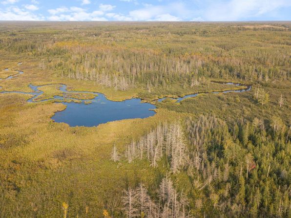 6964 N McArthur Rd, Canyon, MN 55717