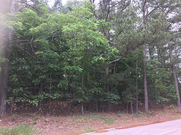 3rd image of 0 Summer Lake Rd