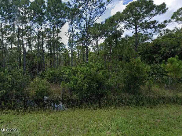 4030 Edisto Dr, Grant Valkaria, FL 32949