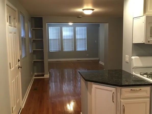 1006 W 20th Pl APT 1, Chicago, IL 60608