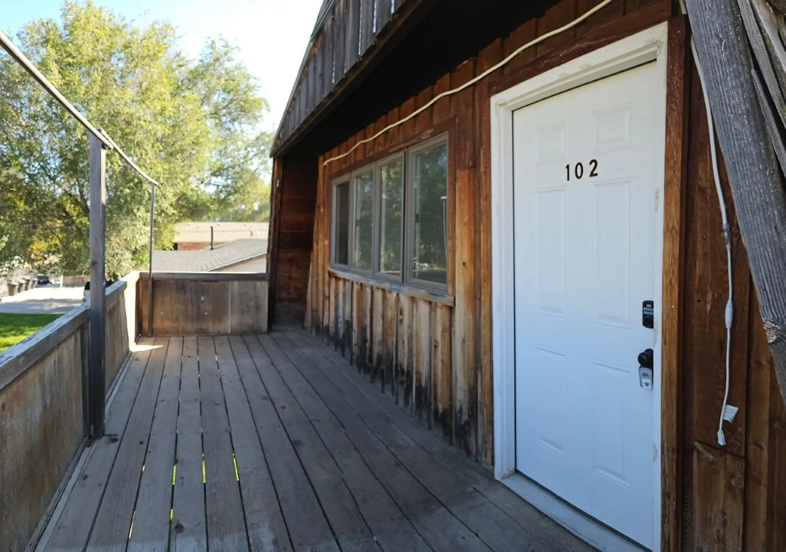 Eva-355-(Woodshed) — Photo 2