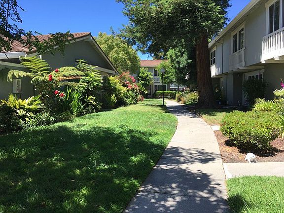 Side walkway from car port to front door area.