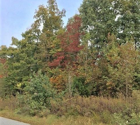 5th image of LOT 99 Sparta Dr