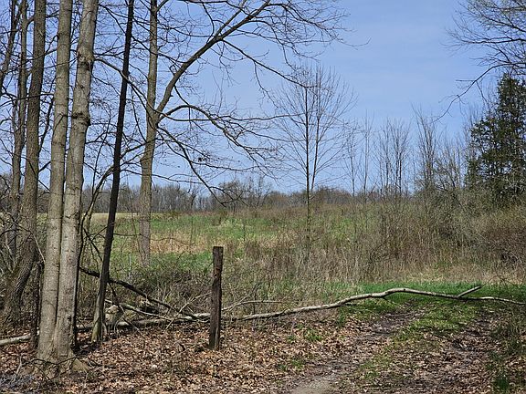 3rd image of 8475 Ross Rd