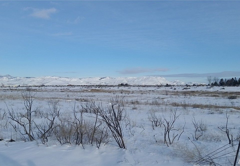 2nd image of 39 Butterweed Rd