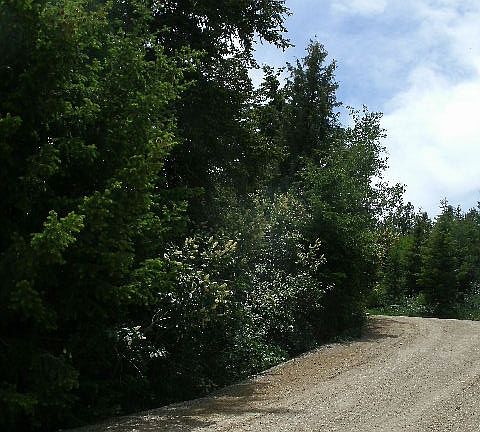 3rd image of 570 S Cedar Circle #Bv E 59