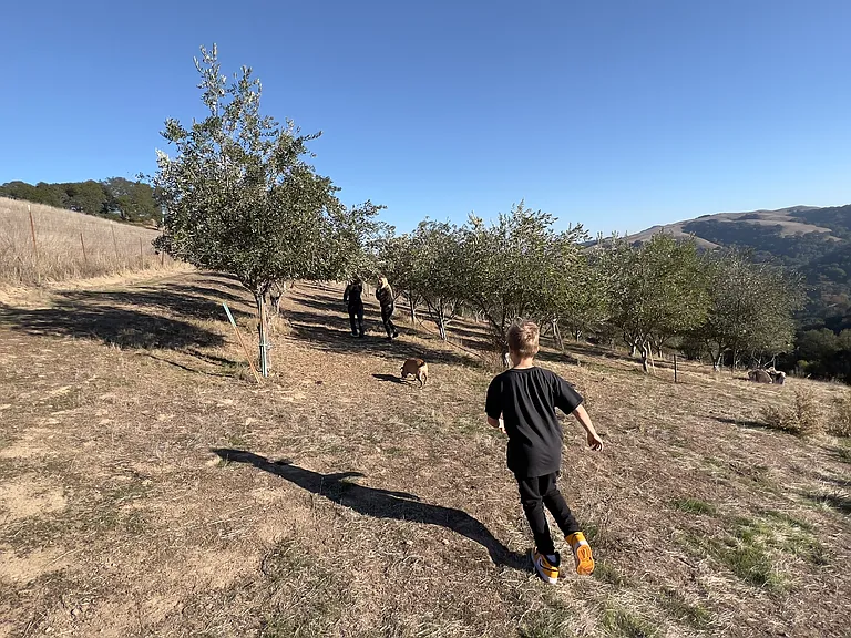 109 Rancho De La Rosa Rd — Photo 29
