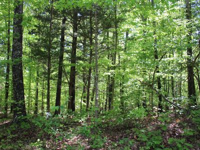 0 Hodges Rd, Cunningham, TN, 37052