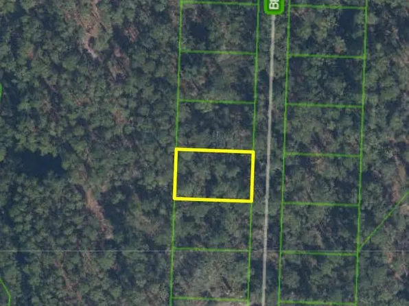 10335 Bending Oak Dr, Sebring, FL 33875