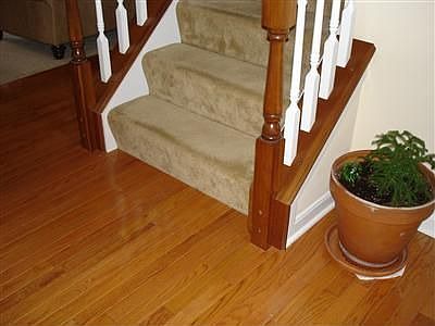 3rd image of 6987 Ruwes Oak Dr