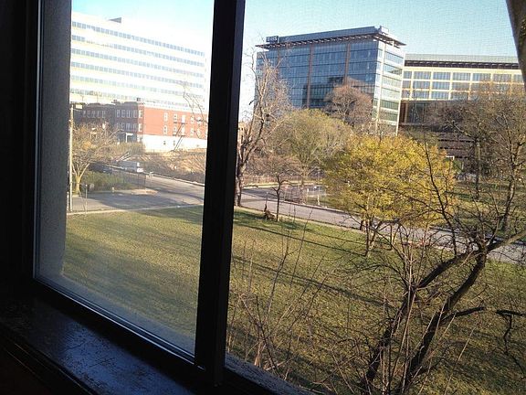 View from Living Room window