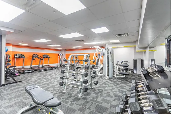 Rented by Hudson Park NY LLC | media 12