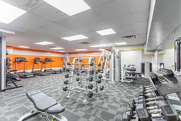 Rented by Hudson Park NY LLC