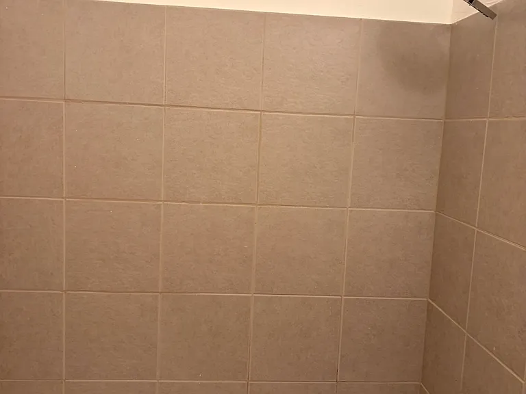 2907 Channing Way — Photo 6