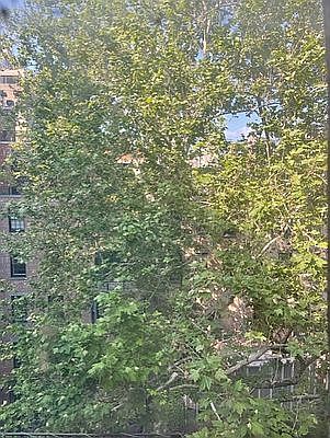 5th image of 7 E 93rd St #5B