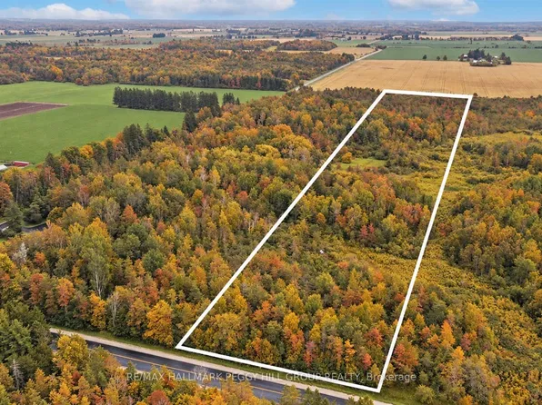 1659 County Road 92, Springwater, ON L0L 1P0