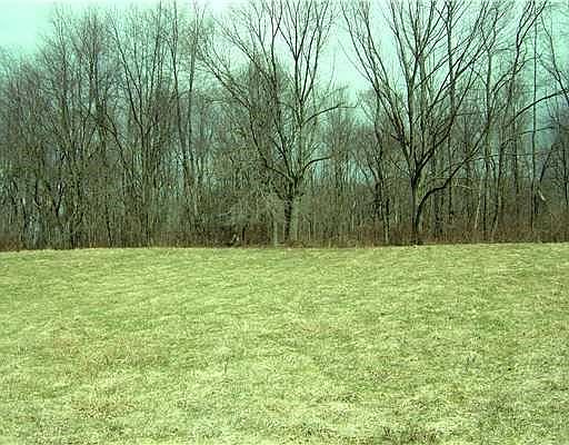 4th image of Lots 5a & 5c Hopper Rd
