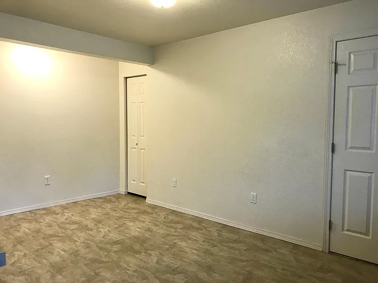 Right side of living room, with another closet in the corner and bedroom door on right.