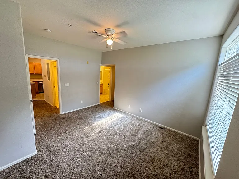 474 Black Feather Loop #408 — Photo 11