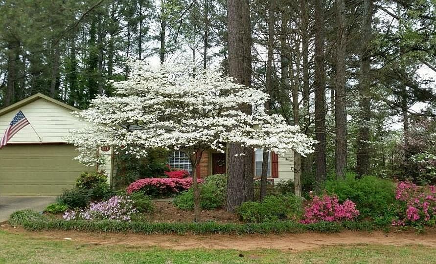 1st image of 991 Orchard Mill Ln