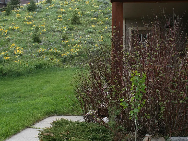 17 Spruce Cone Dr — Photo 14