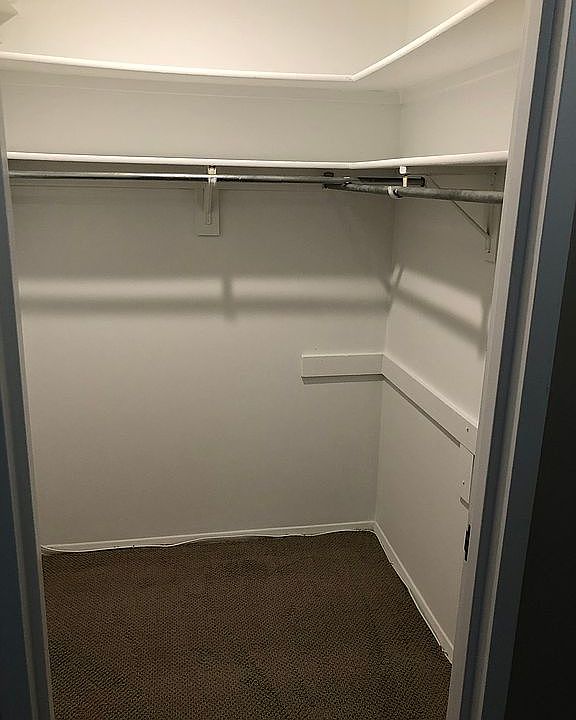 Walk in Closet in Bedroom