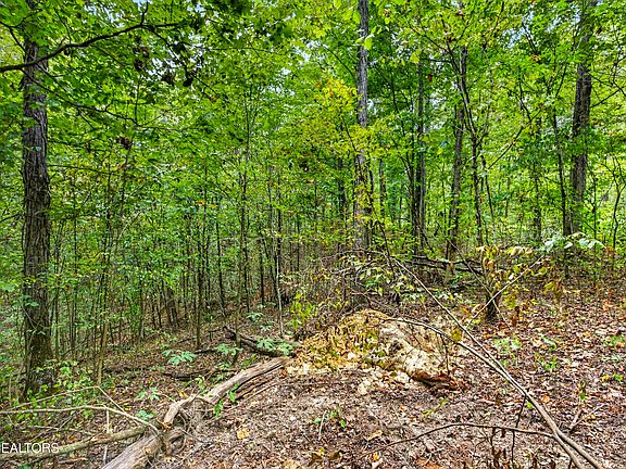 2nd image of 20 Timber Ridge Ln