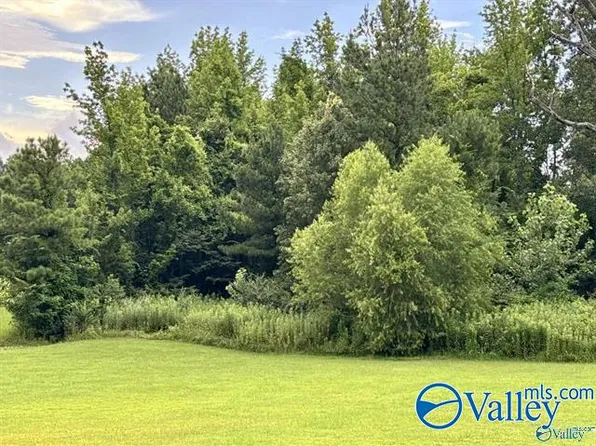 4250 Bennich Rd SE, Decatur, AL 35603