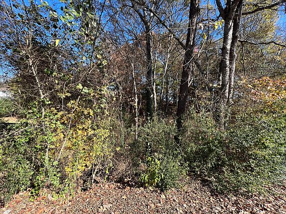 4th image of 0 Lakesite Dr