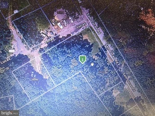 16372 Sam Lucas Rd, Milton, DE 19968