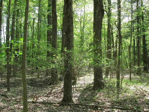 Lot TBD John Yaeger Road, Saugerties, NY 12477