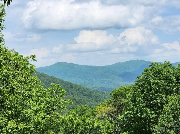 9999 Big Pine Rd, Marshall, NC 28753