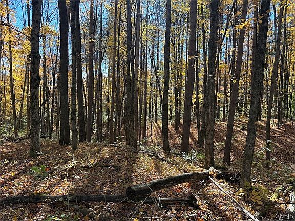 3rd image of 0 Boody Hill Rd #3