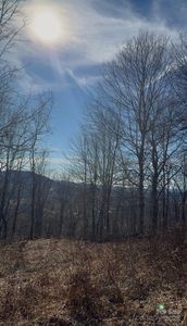 Mystery Mountain Dr, West Jefferson, NC, 28694