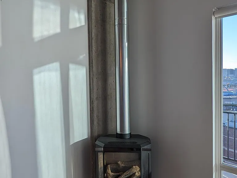 Gas fireplace with voice control