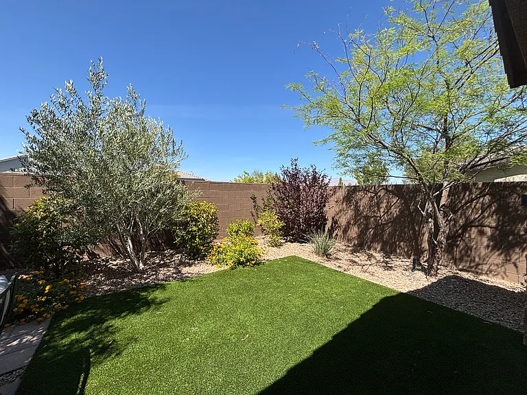 10456 Mount Charleston Ave — Photo 33