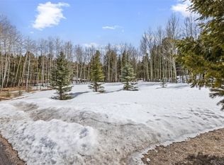 9249 Black Mountain Dr, Conifer, CO 80433