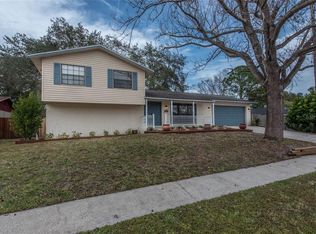 15803 Deep Creek Ln, Tampa, FL 33624