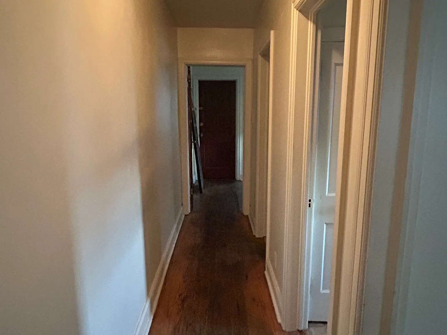 1 bed, 800 sqft, $1,000 — Photo 2