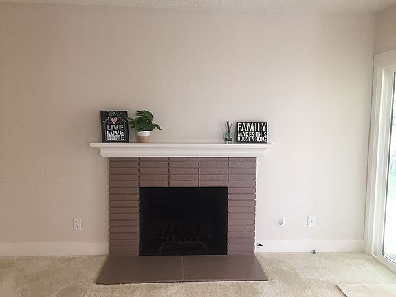 Wood burning Fireplace