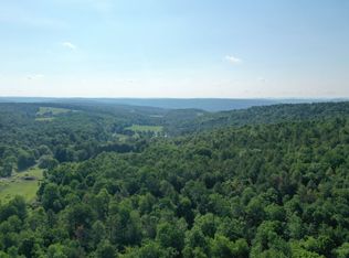 166 Dorr Edson Rd LOT WP001, Oneonta, NY 13820